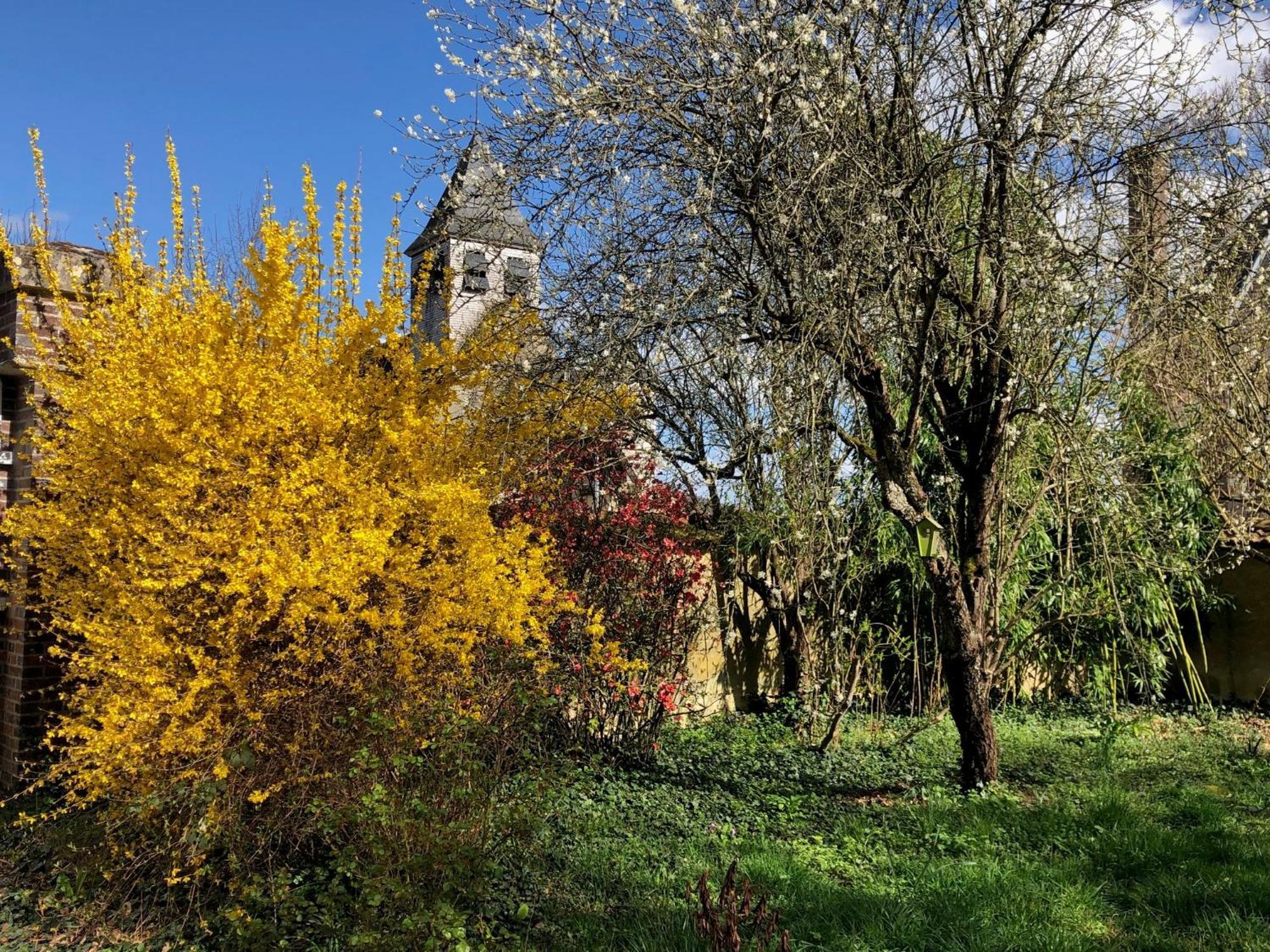 Bed and Breakfast La Demeure D'Othe Sormery Exterior foto